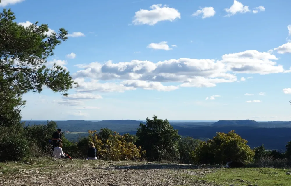 Fin d'automne sur la draille, par Roselyne Crohin