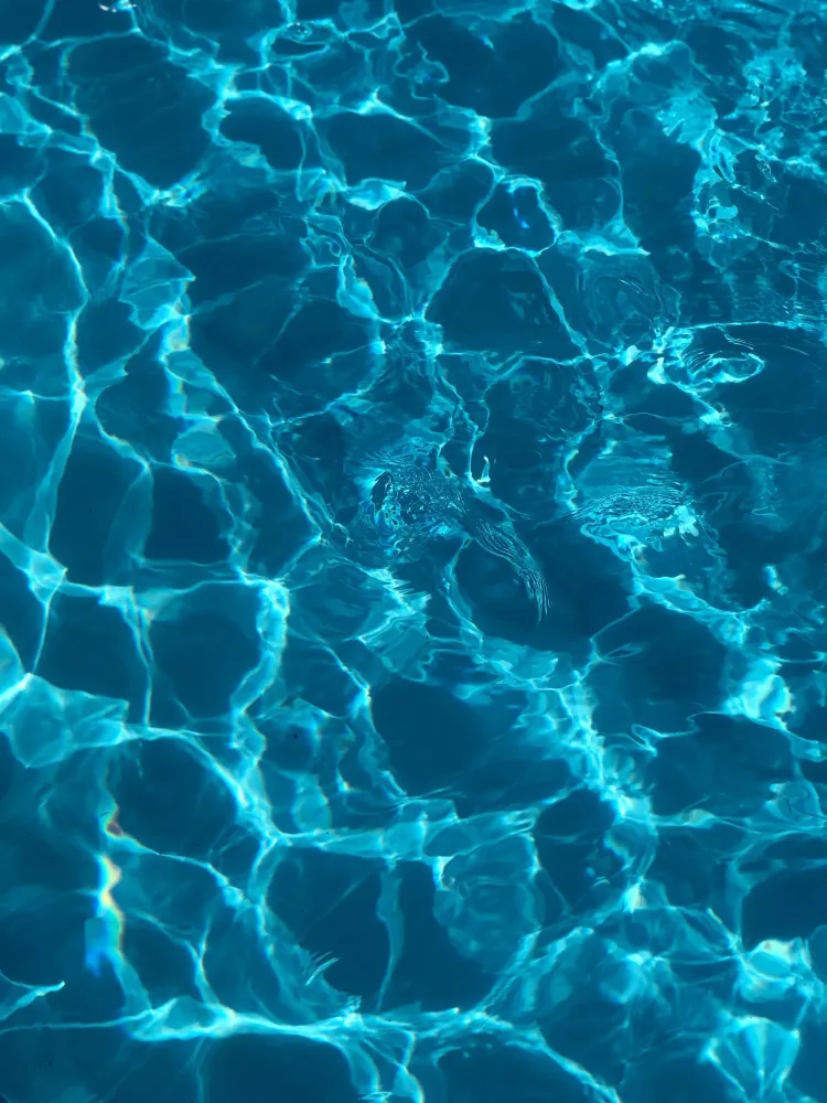 Un bonnet de piscine fuchsia, par Florie (épisodes 3 à 5)