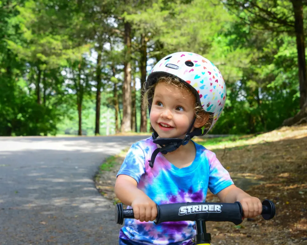 Le vélo et le scarabée bleu, par Roselyne Crohin