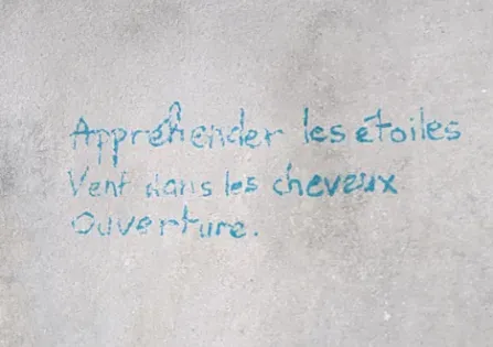 Haïku et poésie marchombre, piste d'écriture