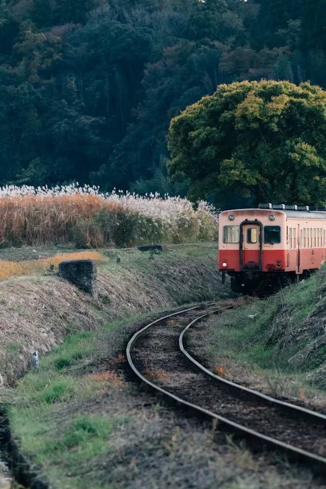 Un train de haïkus, par Chantal Joanny
