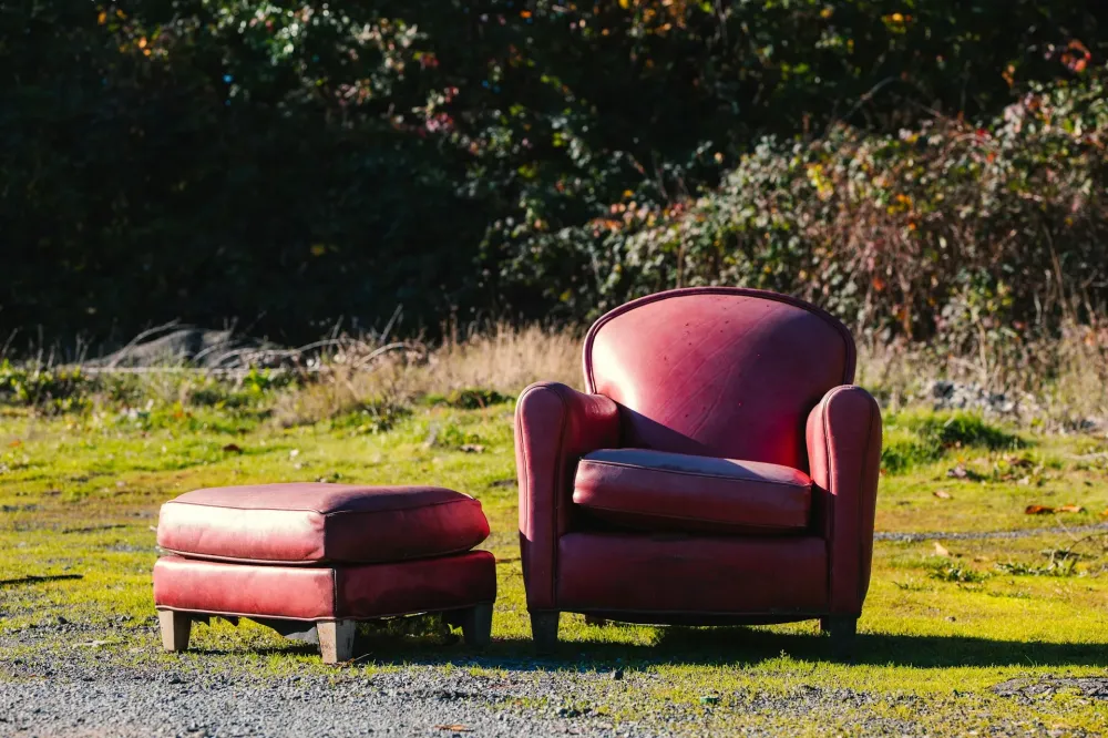 Le fauteuil, par Nickye Alause