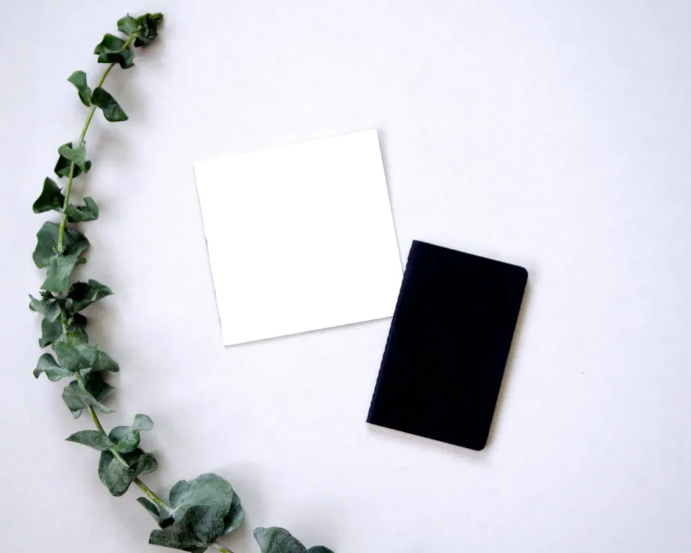 Le petit carnet noir, par Roselyne Crohin